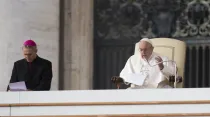 El Papa durante la audiencia. Foto: Marina Testino / ACI Prensa