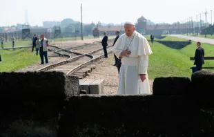 Papa Francisco reza en Auschwitz (2016)  / Foto: L’Osservatore Romano  