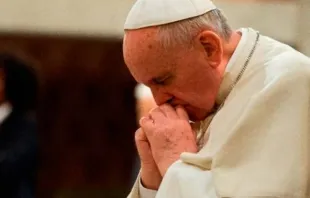 El Papa Francisco / Foto: News.va 