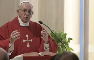 El Papa Francisco pronuncia su homilía. Foto: L'Osservatore Romano 