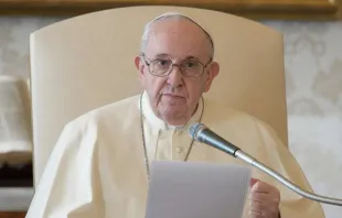 El Papa Francisco en audiencia general. Foto: Vatican Media 