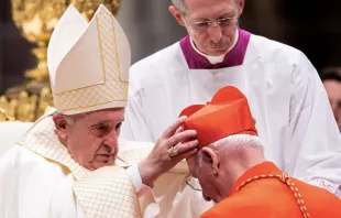 Imagen referencial. Papa Francisco en el consistorio de 2019. Foto: Daniel Ibáñez / ACI Prensa 