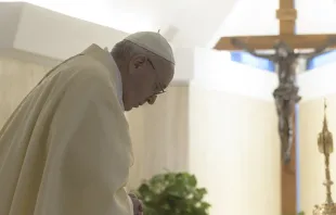 Imagen referencial / Papa Francisco en el Vaticano. Crédito: Vatican Media. 