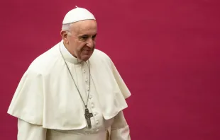 Papa Francisco en el Vaticano. (Imagen de archivo). Foto: Daniel Ibáñez / ACI Prensa 