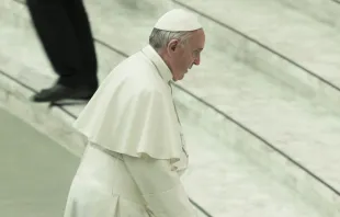 El Papa Francisco en el Aula Pablo VI en la catequesis de hoy. Foto: Lucía Ballester (ACI Prensa) 