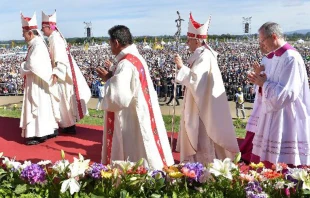 Papa Francisco en Misa por el Progreso de los Pueblos / Cru00e9dito: Vatican Media 