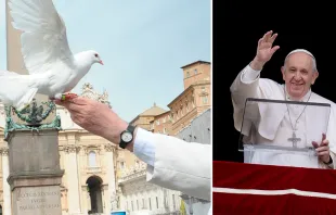 Papa Francisco | Crédito: Vatican Media 
