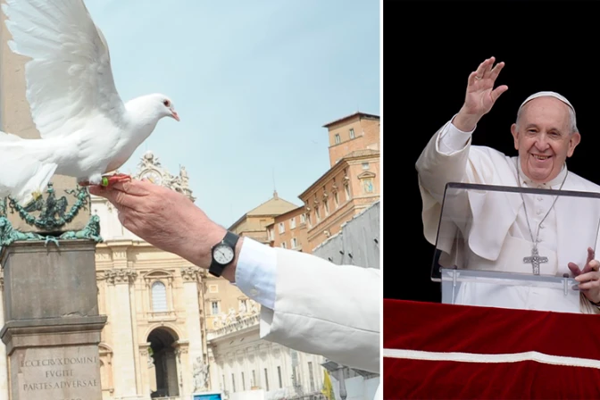 Recuerdan la vez que el Papa Francisco soltó palomas de la paz por Ucrania y algo salió mal