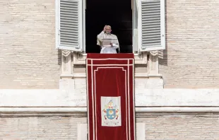 Papa Francisco en el Ángelus. Foto: Daniel Ibáñez / ACI Prensa 