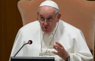 El Papa Francisco defiende el papel de los laicos en la Iglesia. Cédito: Vatican Media 