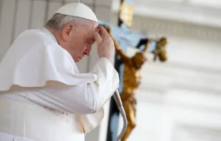 Imagen referencial del Papa Francisco en una audiencia general. Crédito: Vatican Media. 