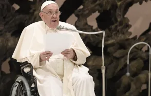 Papa Francisco en el Vaticano. Foto: Vatican Media  