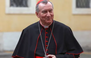 El Secretario de Estado Vaticano, Cardenal Pietro Parolin. Foto: Daniel Ibáñez / ACI Prensa 