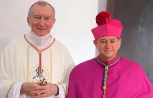 Cardenal Pietro Parolin (izquierda) y Mons. Fermín Sosa Rodríguez (derecha) / Crédito: CEM 