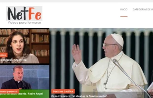 Portal NetFe / Imagen: Pantallazo NetFe  