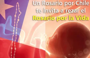 Foto : Banner Quinta Cruzada del Rosario por la vida / Crédito : Un rosario por Chile  Un rosario por Chile