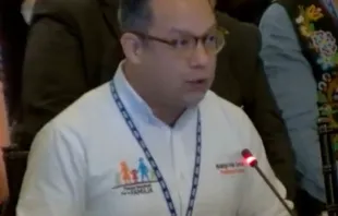 Rodrigo Iván Cortés en la 53a Asamblea General de la Organización de Estados Americanos. Crédito: Captura de video / Frente Nacional por la Familia. 