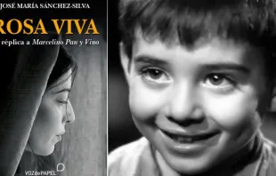 Portada de "Rosa viva", réplica a "Marcelino, pan y vino", protagonizada por Pablito Calvo. Crédito: Voz de Papel / Creative Commons 