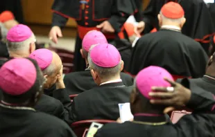 Los obispos en el Sínodo. Foto: Daniel Ibáñez / ACI Prensa 
