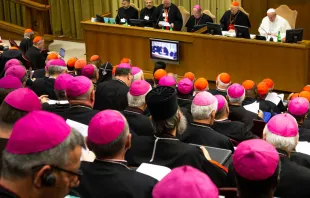 Sínodo de los Obispos - Foto: Daniel Ibáñez (ACI Prensa) 