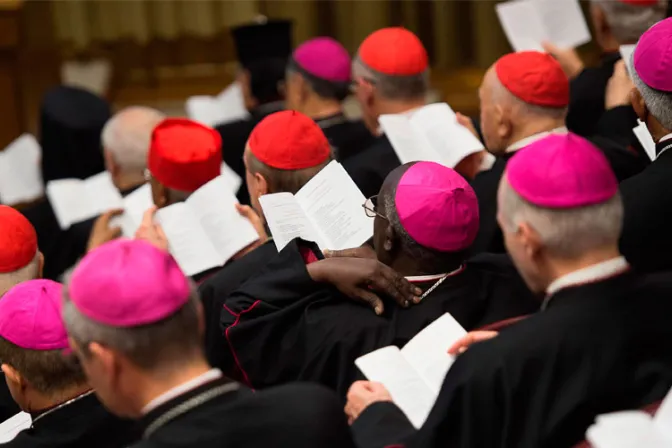 Vaticanista italiano publica "carta" de 13 cardenales en el Sínodo para el Papa Francisco