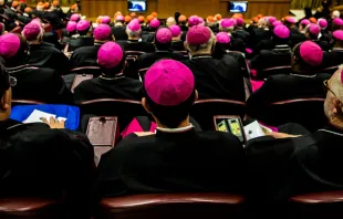 Los obispos en el aula del Sínodo en el Vaticano. Foto: Daniel Ibáñez / ACI Prensa 