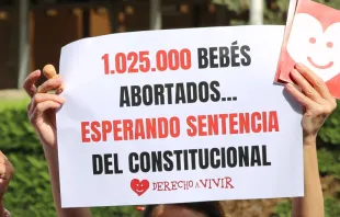 Protesta de la plataforma provida Derecho a Vivir ante el Tribunal Constitucional de España. Crédito: DAV 