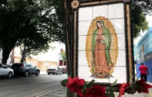 Imagen de Nuestra Señora de Guadalupe en calles de Ciudad de México. Crédito: David Ramos / ACI Prensa. 