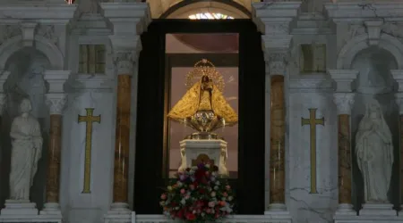 Imagen de la Virgen de la Caridad del Cobre formaru00e1 parte de los Jardines Vaticanos