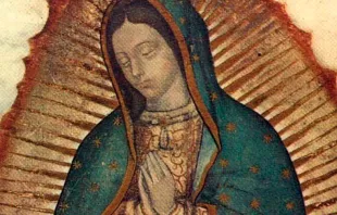Imagen de la Virgen de Guadalpe 