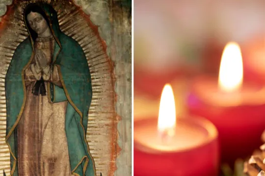 Día de la Virgen de Guadalupe, te compartimos 7 curiosidades – Noticias de  Aquí