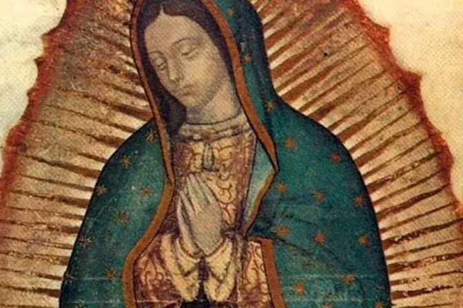 FOTOS y VIDEO: Destruyen imagen de Virgen de Guadalupe en Catedral mexicana