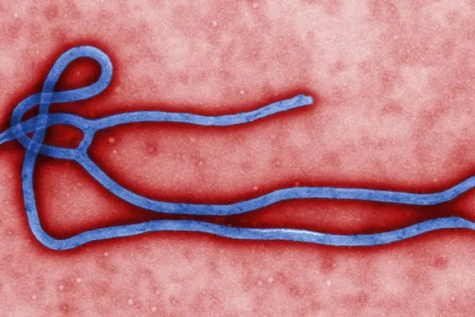 Religioso español infectado con ébola está grave, deshidratado y con el hígado y riñones afectados
