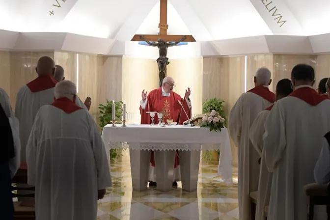 El Papa anima a cultivar el patriotismo en la oración y rezar por los gobernantes