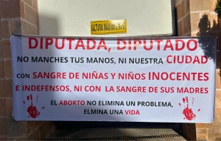 Manifestación a favor de la vida en Zacatecas Crédito: Frente Nacional por la Familia en Zacatecas