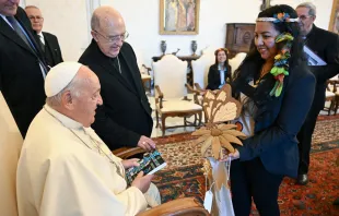 El Papa Francisco durante la audiencia con las entidades que trabajan a favor de la Amazonía Crédto: Vatican Media