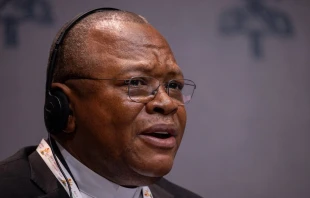 El Cardenal Fridolin Ambongo Besungu, presidente del Simposio de las Conferencias Episcopales de África y Madagascar (SECAM), habla en rueda de prensa del Sínodo de la Sinodalidad en el Vaticano, el 24 de octubre de 2024. Crédito: Daniel Ibáñez / EWTN News.