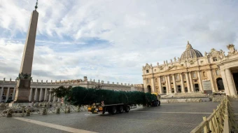 A pesar de una petición en línea publicada en change.org a mediados de octubre que obtuvo más de 53.000 firmas en protesta por la tala del árbol de hoja perenne que se usaría para el árbol de Navidad del Vaticano, el árbol llegó como estaba previsto a la Plaza de San Pedro a las 7:00 a. m. del 21 de noviembre de 2024.