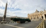 A pesar de una petición en línea publicada en change.org a mediados de octubre que obtuvo más de 53.000 firmas en protesta por la tala del árbol de hoja perenne que se usaría para el árbol de Navidad del Vaticano, el árbol llegó como estaba previsto a la Plaza de San Pedro a las 7:00 a. m. del 21 de noviembre de 2024.