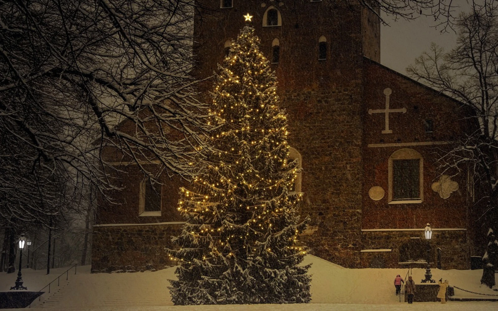 Imagen referencial de un árbol de Navidad.?w=200&h=150