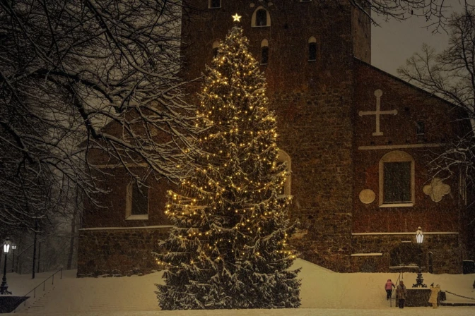 El árbol de Navidad: Guía completa para colocarlo y decorarlo