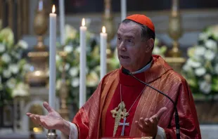 El Cardenal Artime durante su homilía en la Misa de Santiago Apóstol en la iglesia de los españoles en Roma Crédito: Daniel Ibáñez/ EWTN News