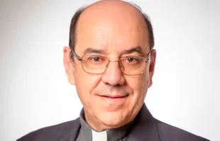 Mons. Florencio Roselló Avellanas, Arzobispo electo de Pamplona y Tudela (España) Crédito: CEE