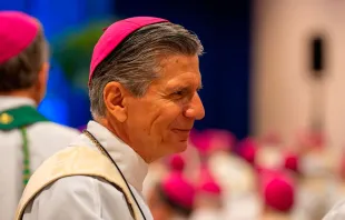 El Arzobispo de San Antonio se pronuncia sobre supuestas profecías de la Misión de la Divina Misericordia en Texas, Estados Unidos. Crédito: Arquidiócesis de San Antonio.