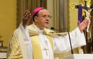 Mons. Leomar Antônio Brustolin, Arzobispo de Santa María (Brasil). Crédito: Arquidiócesis de Santa María