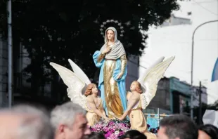 Imagen de la Asunción de la Santísima Virgen Crédito: Diócesis de Avellaneda-Lanús