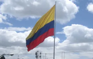 Foto referencial: Bandera de Colombia Crédito: Flickr Julián Ortega Martínez CC BY 2.0 DEED