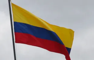 Bandera de Colombia. Crédito: Eduardo Berdejo (ACI)
