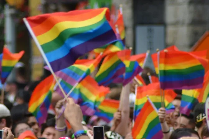 Ayuntamiento colocó de forma ilegal una pancarta con la bandera LGTB en España