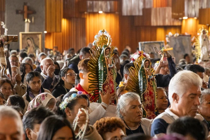 Virgen de Guadalupe: Iglesia Católica da recomendaciones ambientales para peregrinos